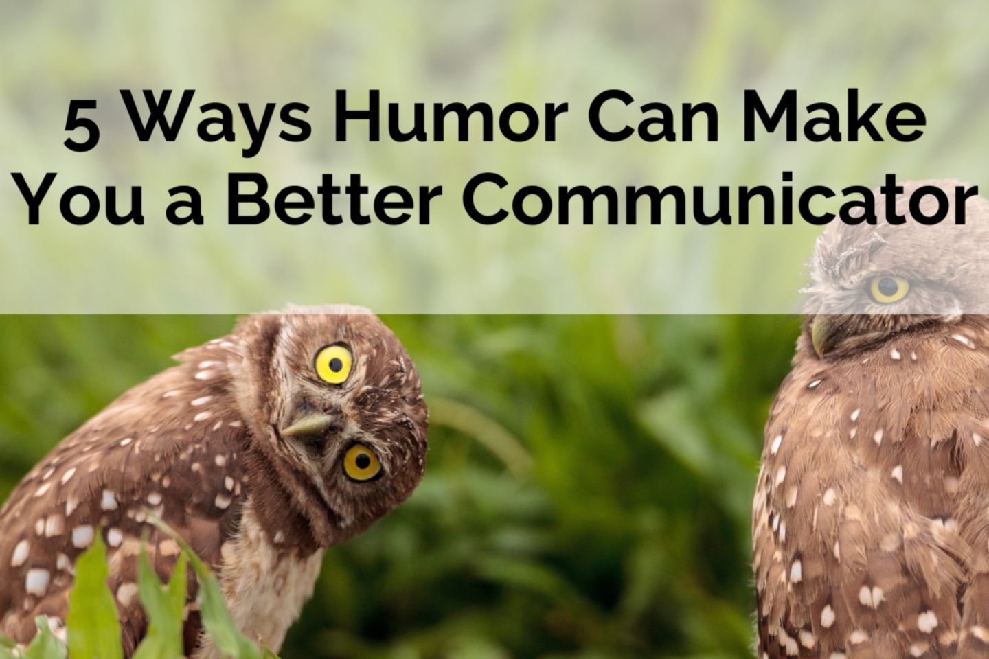 5 Ways Humor Can Make You a Better Communicator | BrandMirror